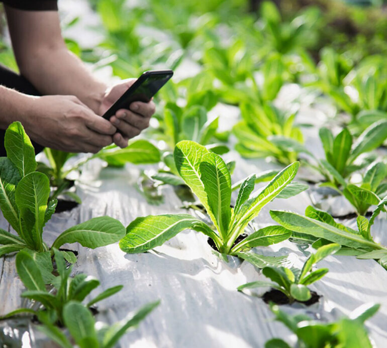 How to Create a Social Media Calendar to Plan Your Content